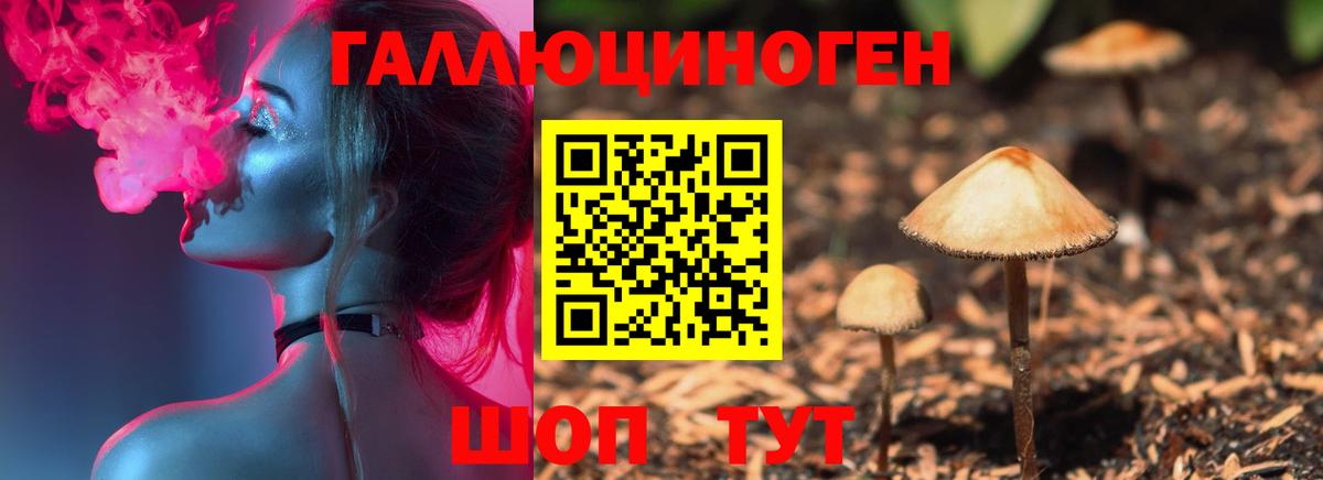 Псилоцибиновые грибы Psilocybine cubensis  Псилоцибиновые грибы мицелий  Нижний Тагил  Вход с VPN 
